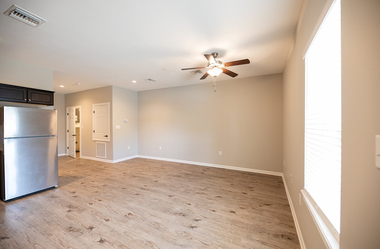 201-W-LAGRANGE-RUE-CADEAU-1-1-living